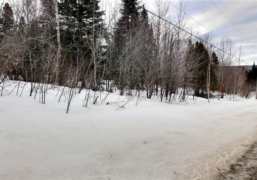 Land for sale - 8187 Ch. des Érables, Percé, G0L2L0