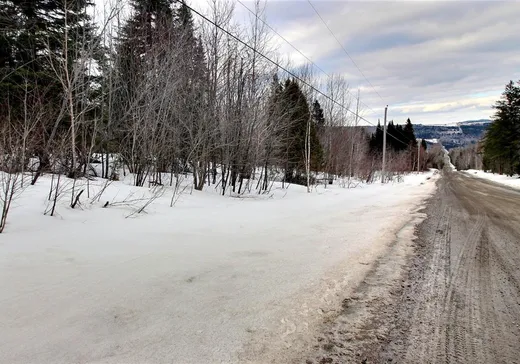 Terrain à vendre - 8187 Ch. des Érables, Percé, G0L 2L0
