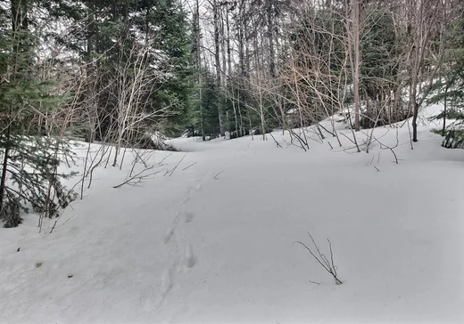 Terrain à vendre - 8187 Ch. des Érables, Percé, G0L 2L0