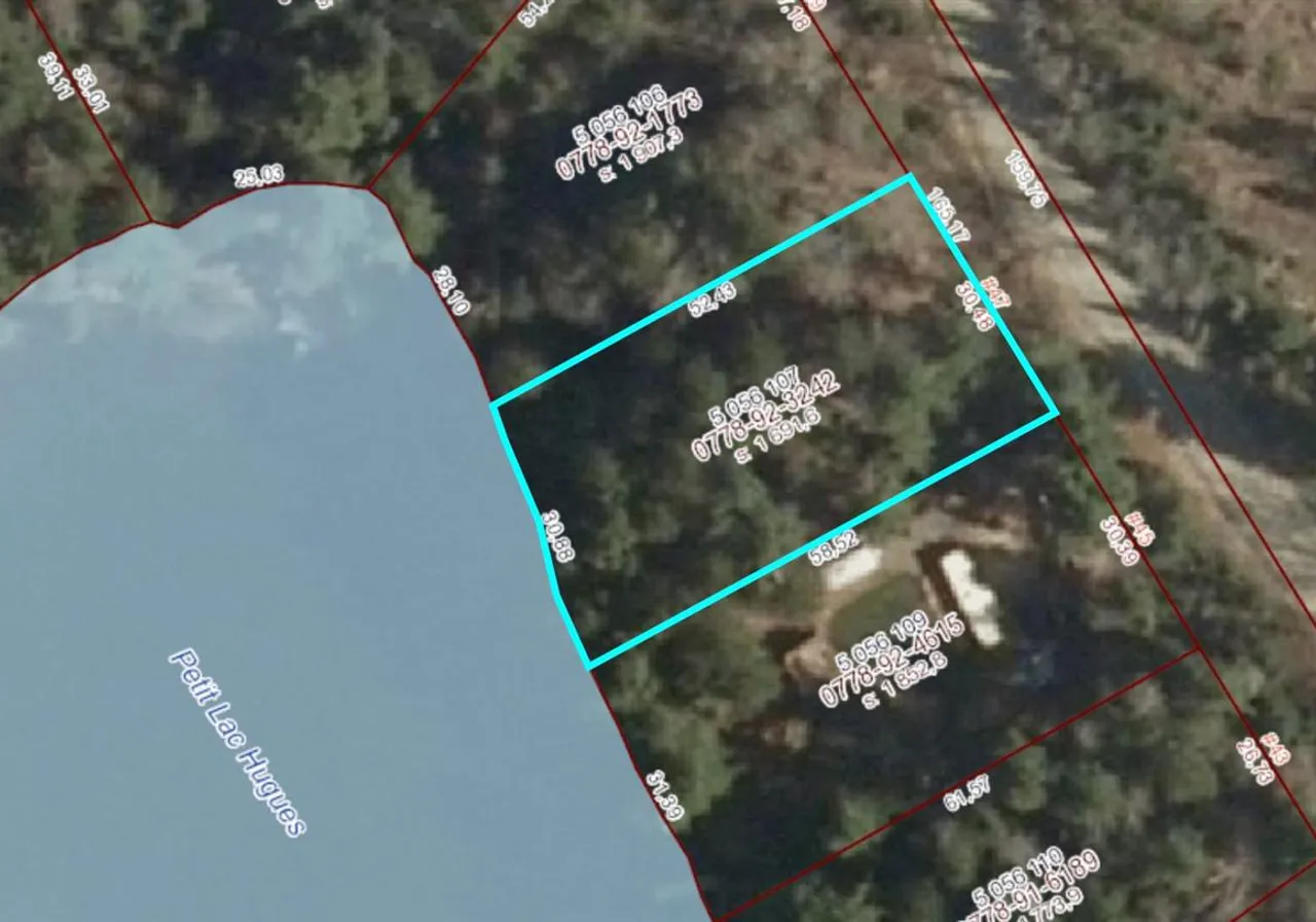 Terrain à vendre - 47 Ch. Hughes, Otter Lake, J0X 2P0