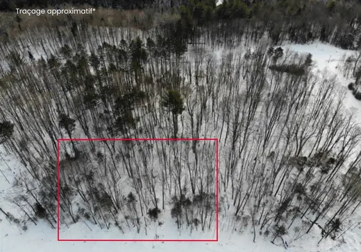 Terrain à vendre -  Ch. du Lac-Wilson, Lachute, J8G0B3