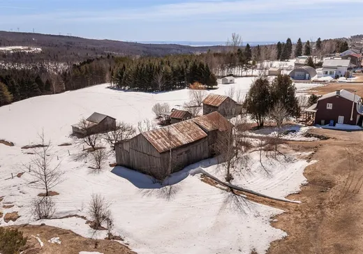 Terrain à vendre -  Av. Royale, St-Ferreol-les-Neiges, G0A3R0