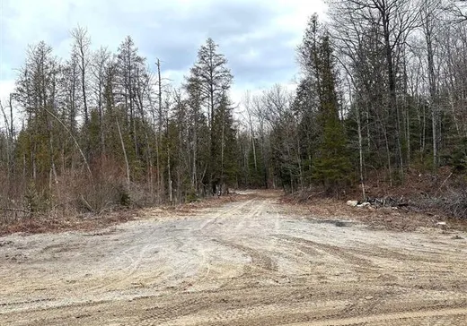 Land for Sale -  Ch. du Lac-Bernard N., Hull, J0X 2C0
