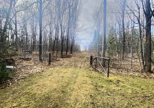 Terrain à vendre - 296 Rue Fraserville, Rivière-du-Loup, G5R 5M6