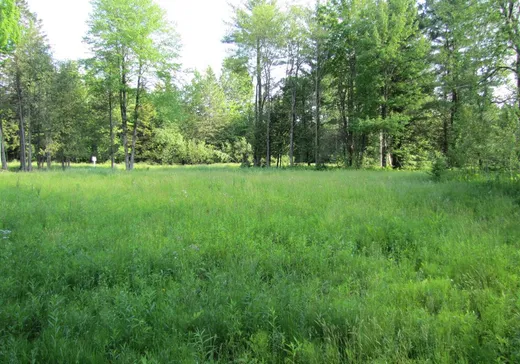 Terrain à vendre -  Rue des Cèdres, Stanstead, J0B3E2