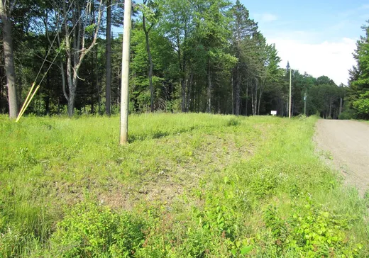 Land for Sale -  Rue des Cèdres, Stanstead, J0B 3E2