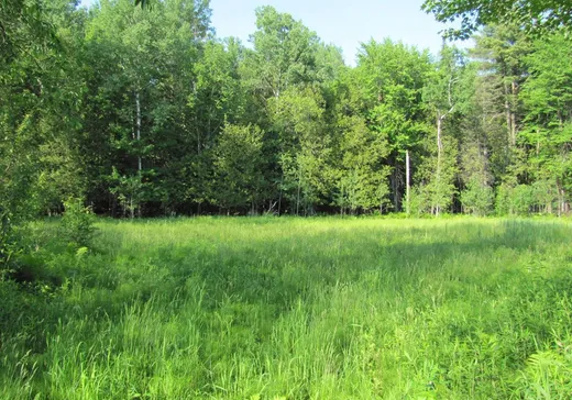 Land for Sale -  Rue des Cèdres, Stanstead, J0B 3E2