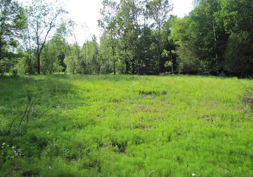 Land for Sale -  Rue des Cèdres, Stanstead, J0B 3E2