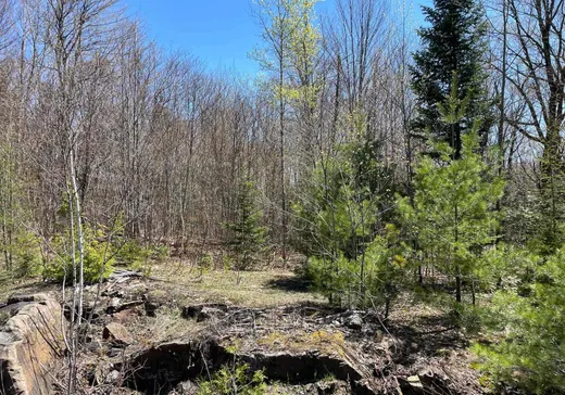 Terrain à vendre -  Route 329, Gore, J0V 1K0