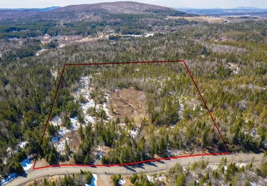 Land for Sale -  Ch. Armand-Martineau, Saint-Hermenegilde, J0B 2W0