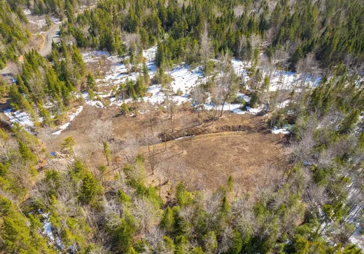 Land for Sale -  Ch. Armand-Martineau, Saint-Hermenegilde, J0B 2W0