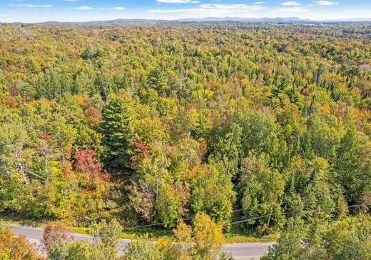 Terrain à vendre - 10 Ch. Laurendeau, Magog, J1X0M6