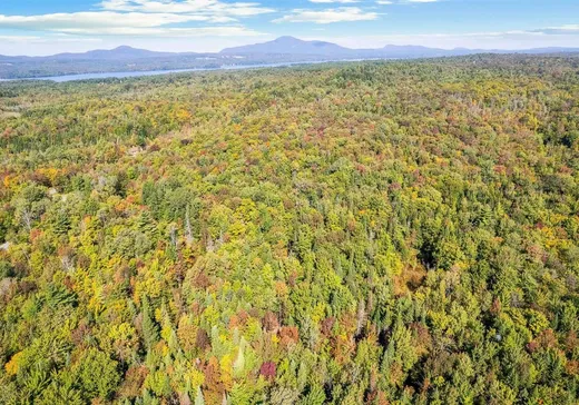 Terrain à vendre - 10 Ch. Laurendeau, Magog, J1X 0M6