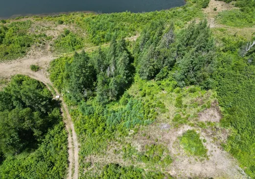 Terrain à vendre -  Ch. des Estragons, Lantier, J0T 1V0