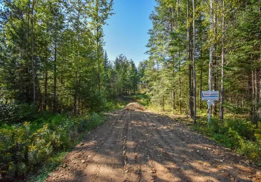 Terrain à vendre -  Ch. de la Pinède, St-Remi-D'Amherst, J0T 2L0