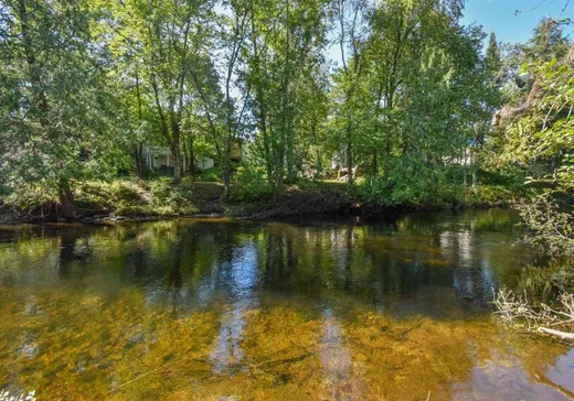 Terrain à vendre -  Ch. de la Pinède, St-Remi-D'Amherst, J0T 2L0