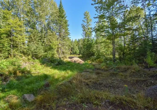 Terrain à vendre -  Ch. de la Pinède, St-Remi-D'Amherst, J0T 2L0