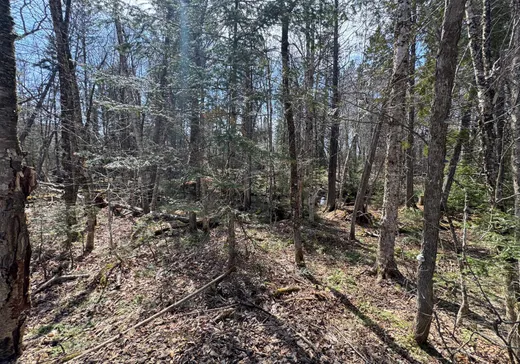 Land for Sale -  Ch. de la Montagne, Brownsburg-Chatham, J8G 2B2