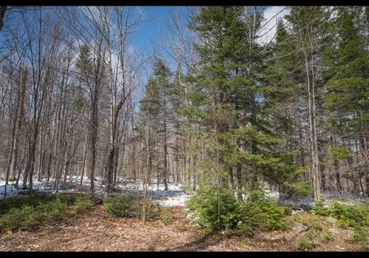 Land for sale -  Ch. de la Buse, Notre-Dame-Des-Boies, J0B2E0