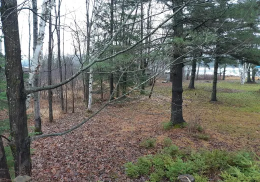 Terrain à vendre - 245 Ch. du Lac-Huron, Lac-aux-Sables, G0X 1M0