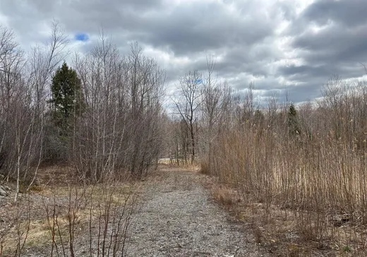 Land for Sale - 330 Ch. Keenan, Richmond, J0B 2B0