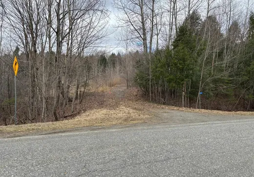 Land for Sale - 330 Ch. Keenan, Richmond, J0B 2B0