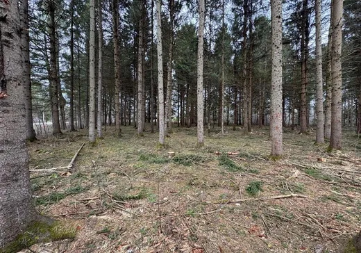 Terrain à vendre -  Ch. Gosford E., East Angus, J0B 1R0