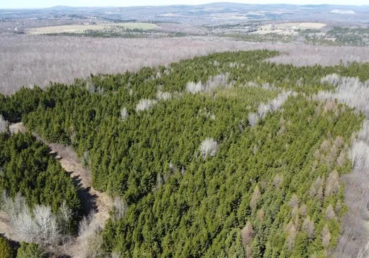 Terrain à vendre - Z Rue Laurier, Val des Sources, J1T3M7