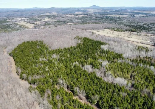 Land for Sale - Z Rue Laurier, Val des Sources, J1T 3M7