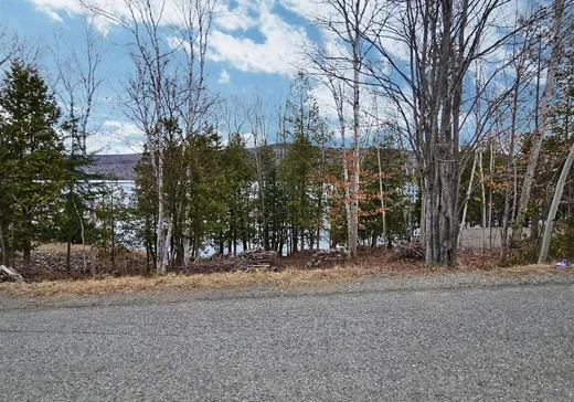 Land for sale -  Rue St-Laurent, Pohénégamook, G0L1J0