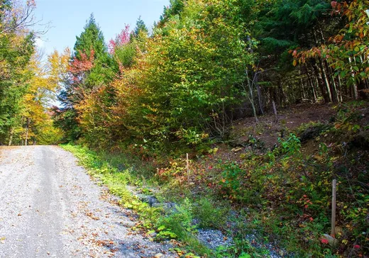 Terrain à vendre -  Ch. Jean-Charles-Labranche, Mansonville, J0E 1X0