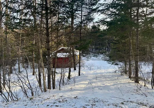 Terrain à vendre - 4390 Rg St-Paul, St-Leonard-De-Portneuf, G0A 4A0