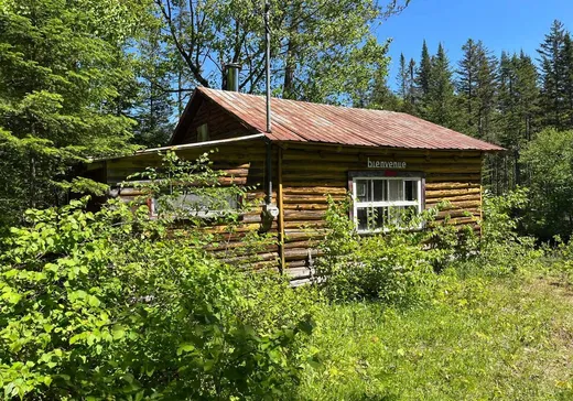 Terrain à vendre - 4390 Rg St-Paul, St-Leonard-De-Portneuf, G0A 4A0