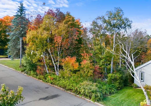 Terrain à vendre - 260 Rue du Château, Les Chutes-de-la-Chaudière-Ouest, G7A 3C3