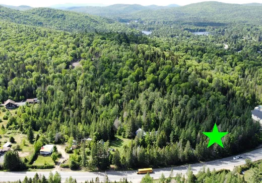 Terrain à vendre -  Route 329 N., Sainte-Agathe-des-Monts, J8C0M2