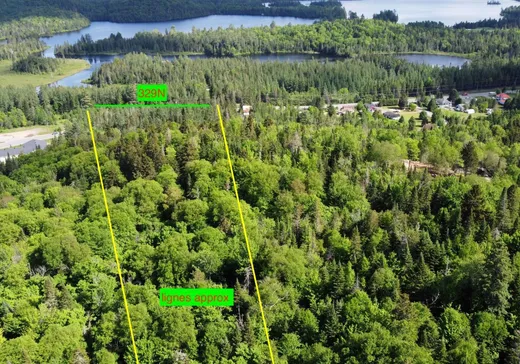 Terrain à vendre -  Route 329 N., Sainte-Agathe-des-Monts, J8C 0M2