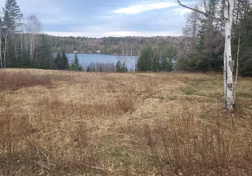 Terrain à vendre -  Ch. du Lac-Labelle, Mont-Tremblant, J0T 1H0