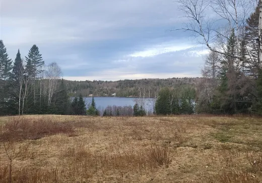 Terrain à vendre -  Ch. du Lac-Labelle, Mont-Tremblant, J0T 1H0
