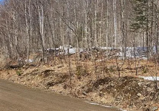 Terrain à vendre -  Ch. des Cimes, St-Donat-De-Montcalm, J0T2C0