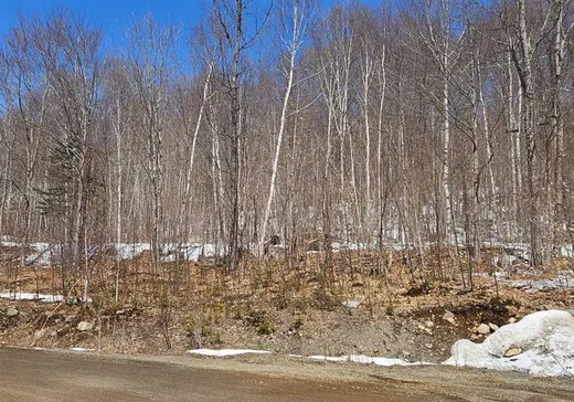 Terrain à vendre -  Ch. des Cimes, St-Donat-De-Montcalm, J0T 2C0
