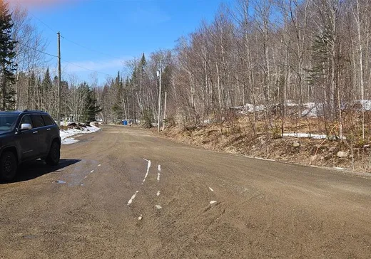 Terrain à vendre -  Ch. des Cimes, St-Donat-De-Montcalm, J0T 2C0