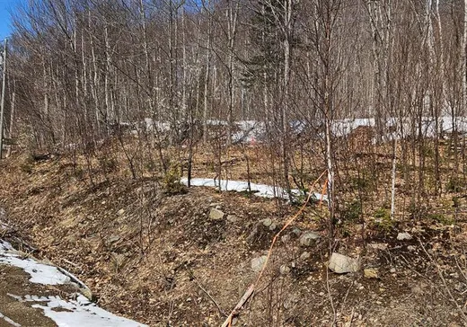 Terrain à vendre -  Ch. des Cimes, St-Donat-De-Montcalm, J0T 2C0