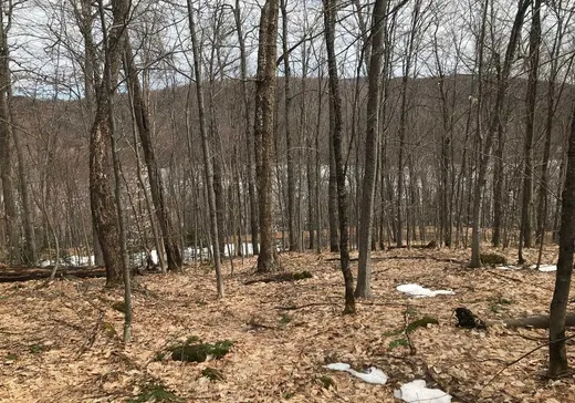 Land for Sale -  Ch. du Mistral, Val-des-Lacs, J0T 2P0