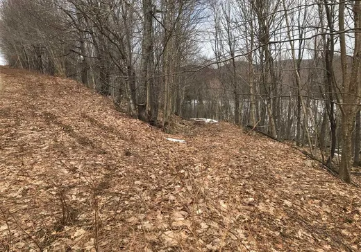 Land for Sale -  Ch. du Mistral, Val-des-Lacs, J0T 2P0