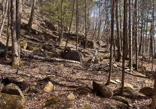 Terrain à vendre -  Rue du Valais, Sainte-Adèle, J8B1Y4