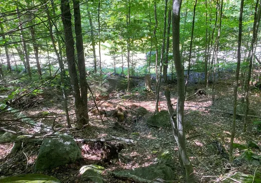 Terrain à vendre -  Rue du Valais, Sainte-Adèle, J8B 1Y4