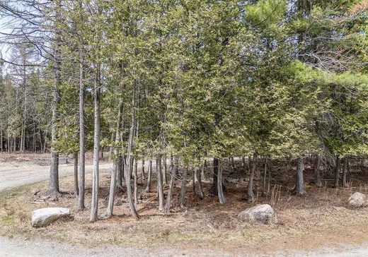 Terrain à vendre - 119 Rg Lainesse, Norbertville, G0P 1B0