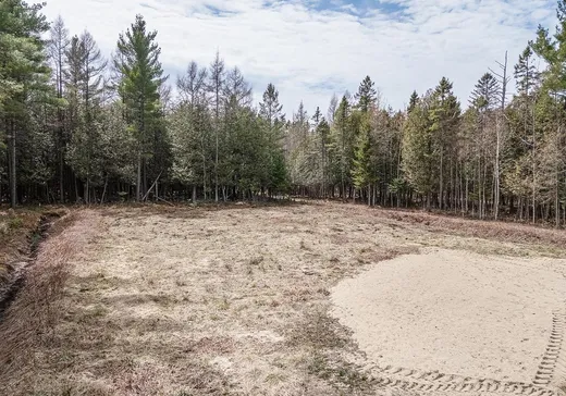 Terrain à vendre - 119 Rg Lainesse, Norbertville, G0P 1B0
