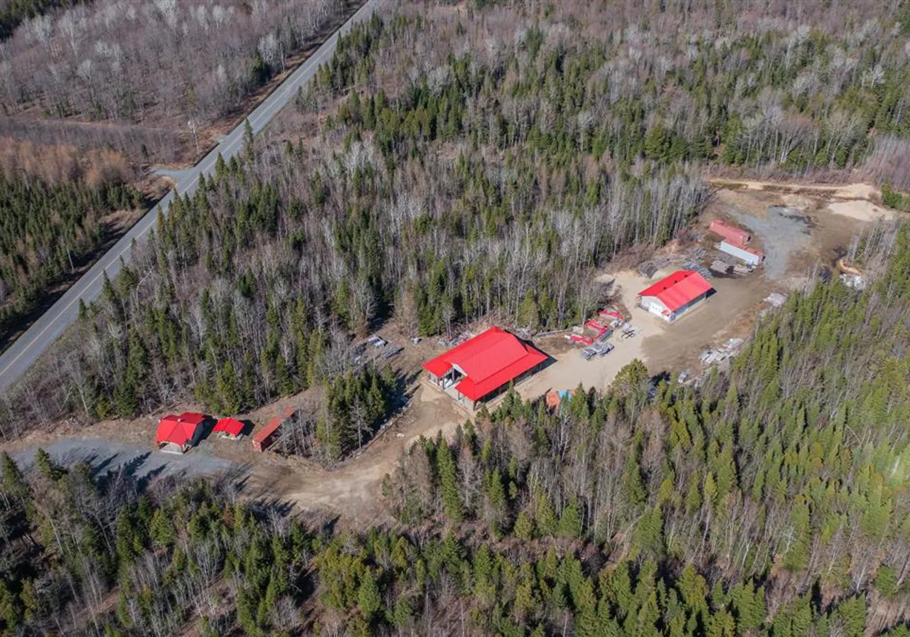 Terrain à vendre - 485 15e Rang, Villeroy, G0S 3K0
