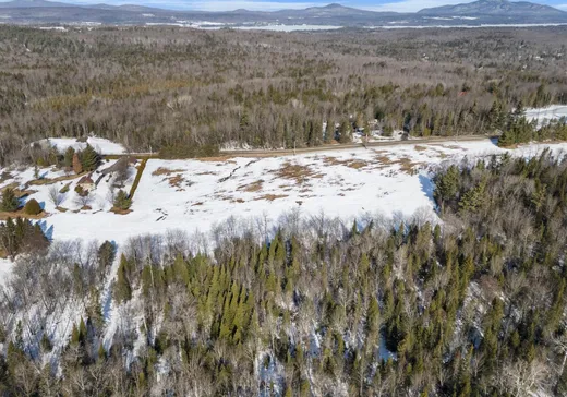 Terrain à vendre - Ch. Tétreaul Ch. Tétreault, Magog, J1X0M9